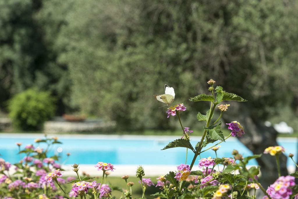 Canicattini Bagni Agriturismo Borgo Degli Ulivi מראה חיצוני תמונה